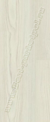 70101-0001 Белая сосна, планка ― Ламинат, паркетная доска, межкомнатные двери