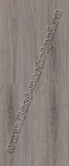 70204-0231 Дуб серебристо-серый original plank 4V ― Ламинат, паркетная доска, межкомнатные двери