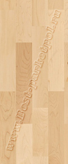 Клен канадский Торонто СЛ (доска трехполосная) ― Ламинат, паркетная доска, межкомнатные двери