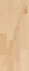 Клен европейский Зальцбург СЛ (доска трехполосная)    ― Ламинат, паркетная доска, межкомнатные двери