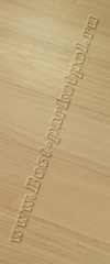 Дуб Ivory  brushed 4420 (доска однополосная)  ― Ламинат, паркетная доска, межкомнатные двери